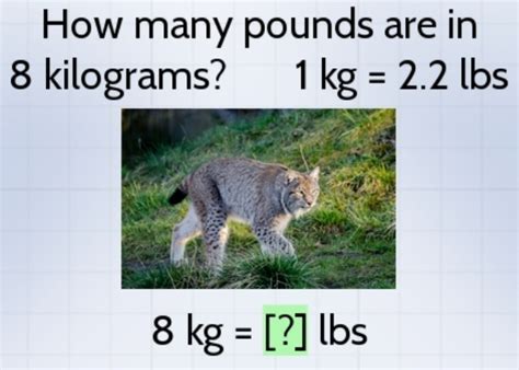 0.8kg to lbs|0.8 kg in Pounds and oz